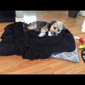 Meet your Posher, Kim